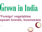 Foreign vegetables spawn brands, businesses in India